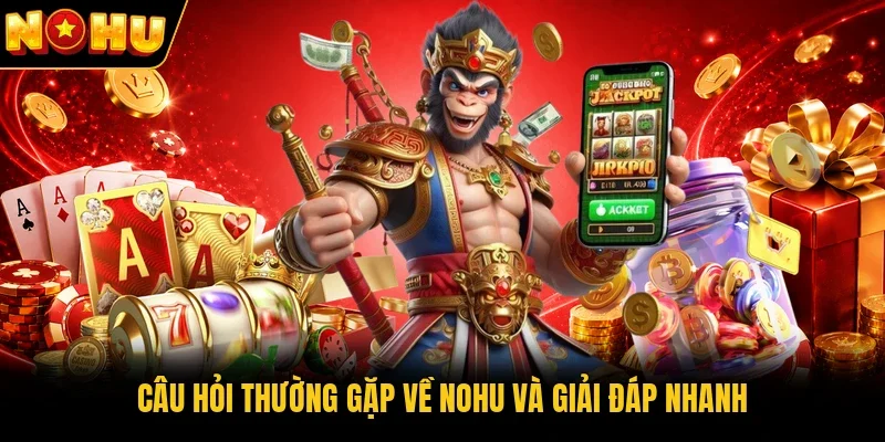 Câu hỏi thường gặp về Nohu và giải đáp nhanh
