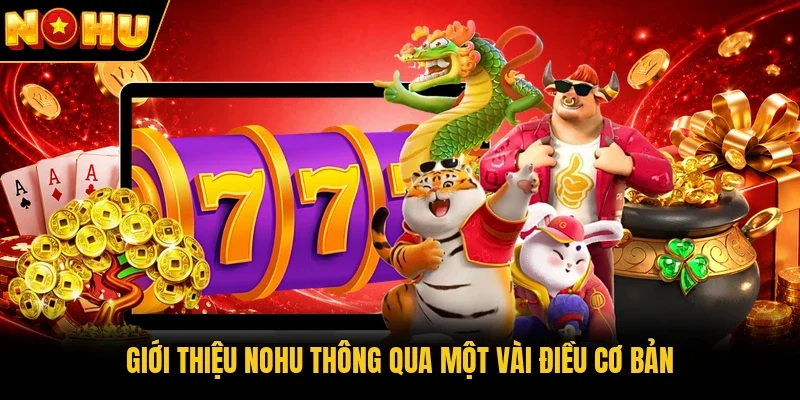 Giới thiệu Nohu thông qua một vài điều cơ bản