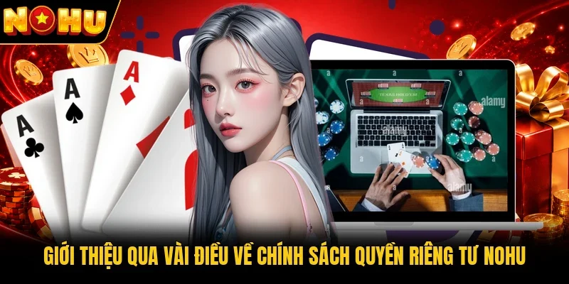 Giới thiệu qua vài điều về chính sách quyền riêng tư Nohu