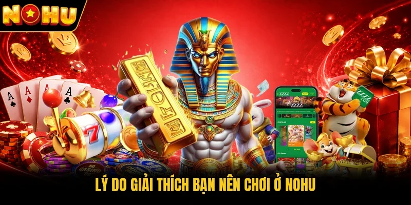 Lý do giải thích bạn nên chơi ở Nohu