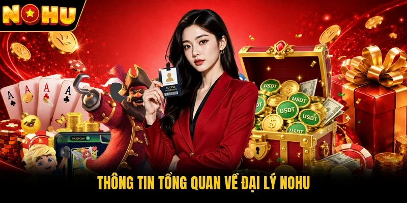 Thông tin tổng quan về đại lý Nohu  
