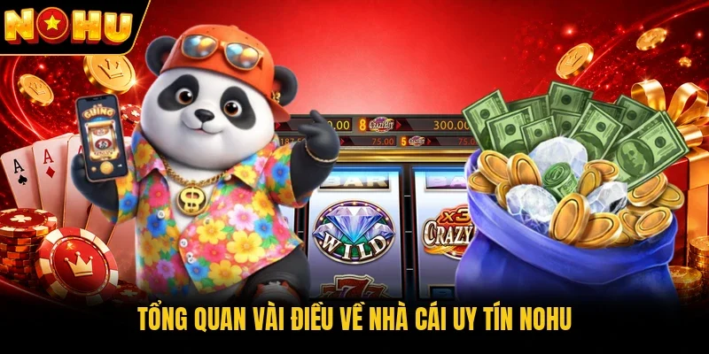 Tổng quan vài điều về nhà cái uy tín Nohu